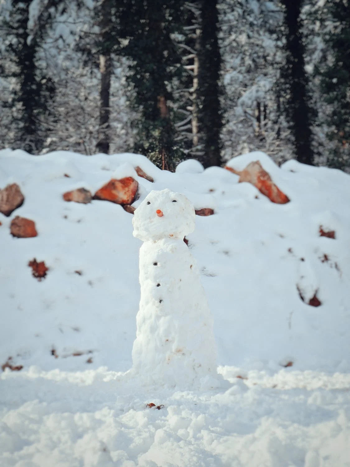 Silly Snowman Double Wick Soy Candle