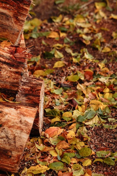 Leaf Pile Double Wick Soy Candle